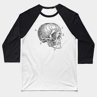 Skull Diagram - Vintage Anatomy Baseball T-Shirt